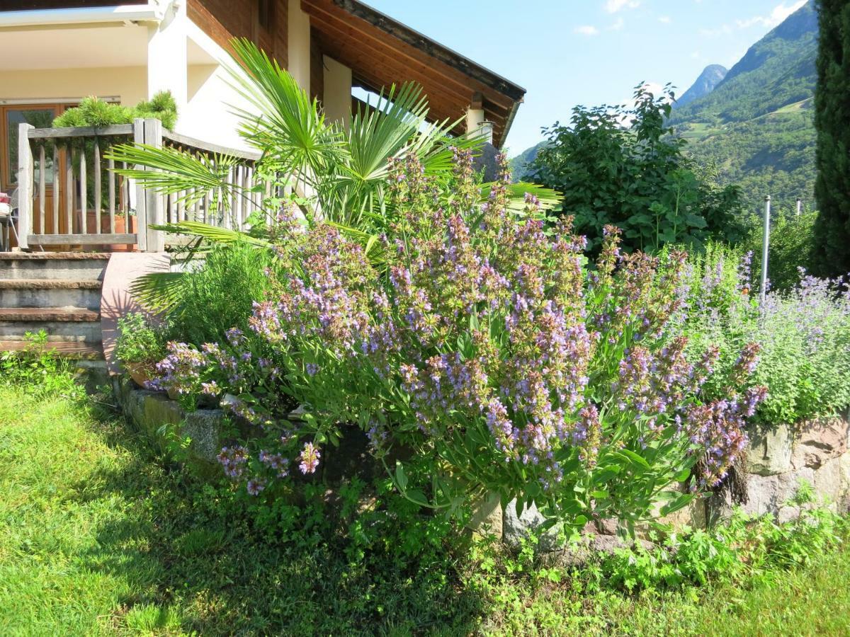 Feldererhof Apartment Postal / Burgstall ภายนอก รูปภาพ